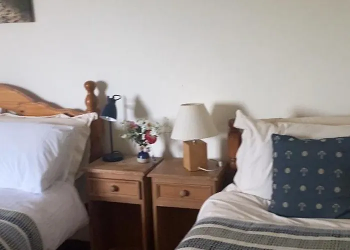 Skylark Bed & Breakfast Inishbofin photo