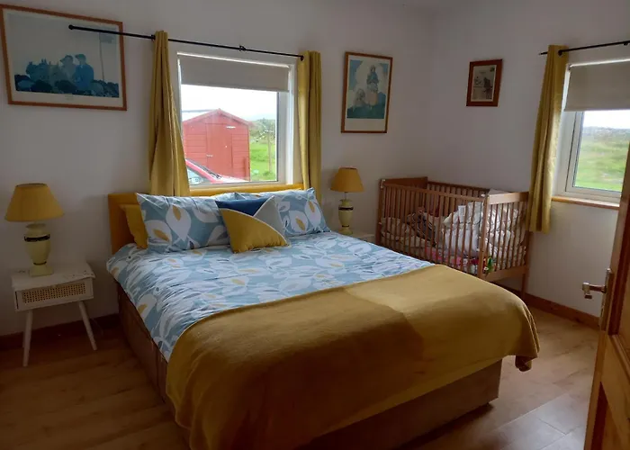Grallagh House Dog Paradise Leagun photo