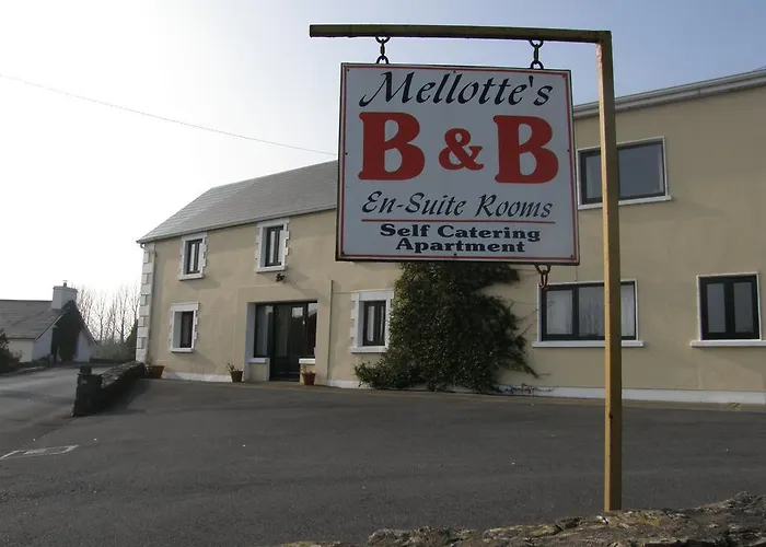 Mellottes B&B Cornamona photo